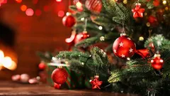 Få vet detta: Varför är rött och grönt julens färger?