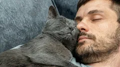 Så visar katten sin kärlek: Gör den det här är du hennes allra käraste människa