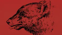 Kan du hitta personen i den här optiska illusionen?