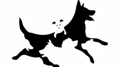 Hur många hundar ser du på bilden? Ett snabbt test avslöjar din psykologiska ålder