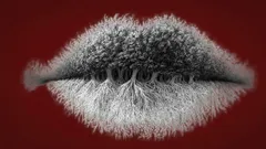 Vad ser du först på bilden? Ta reda på om du är introvert, extrovert eller ambivert