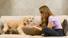 Kan djur förstå mänskligt språk?