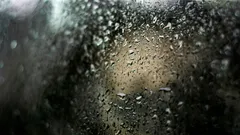 Så blir du av med kondens på fönstren på vintern – beprövad metod