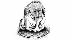 Gammal optisk illusion: Ser du personen som gömmer sig i bilden med hunden?