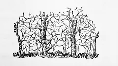 Det första djuret du ser på bilden kommer att avslöja kärnan i din personlighet