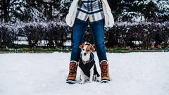 Hur många minuter om dagen behöver man rasta en valp?