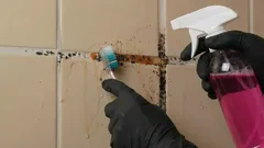 Så blir du av med mögel i fogarna mellan kakelplattor och återställer deras ursprungliga utseende