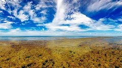 På jorden finns det bara ett enda hav som saknar stränder